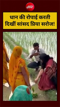 VIP नहीं, किसान बेटी की तरह दिखीं प्रिया सरोज, खेत में उतरीं सांसद