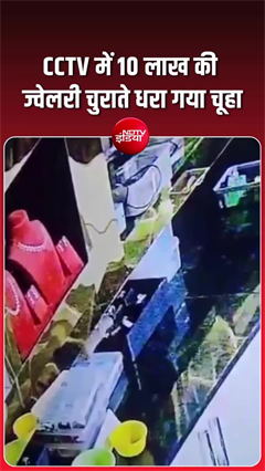 10 लाख की ज्वेलरी लेकर बिल में घुस गया चूहा, CCTV देखकर रह गए सब हैरान