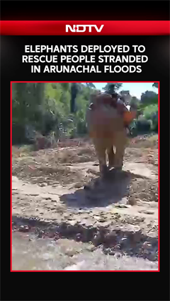 Elephants Deployed To Rescue People Stranded In Arunachal Floods