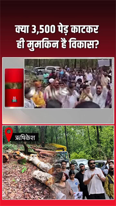 उत्तराखंड में 4000 पेड़ों की कटाई पर भड़का विरोध