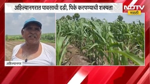 Ahilyanagar Rain Update | अहिल्यानगरात पावसाची दडी, पिके करपण्याची शक्यता | NDTV Marathi