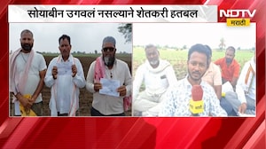 सोयाबीन उगवलं नसल्याने अमरावतीतील शेतकरी हतबल | NDTV मराठी