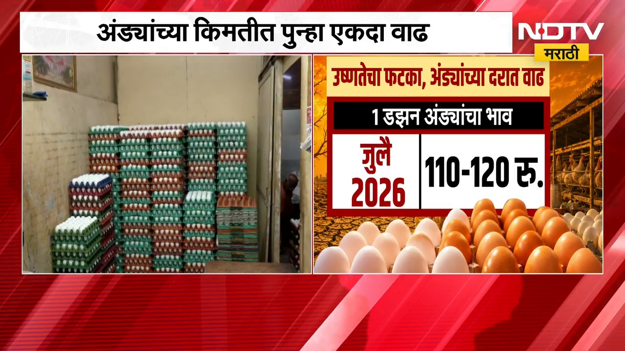 Egg Price Hike | उष्णतेचा फटका, अंड्यांच्या दरात वाढ; सर्वसामान्यांच्या खिशाला कात्री