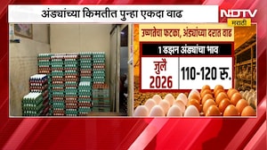 Egg Price Hike | उष्णतेचा फटका, अंड्यांच्या दरात वाढ; सर्वसामान्यांच्या खिशाला कात्री