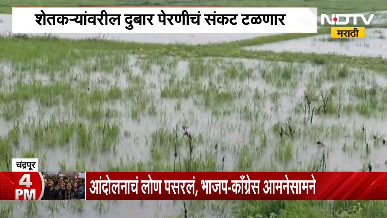 Chandrapur Rain | 25 दिवसांच्या प्रतीक्षेनंतर चंद्रपुरात दमदार पाऊस, बळीराजा सुखावला