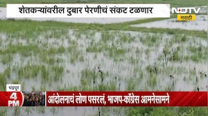 Chandrapur Rain | 25 दिवसांच्या प्रतीक्षेनंतर चंद्रपुरात दमदार पाऊस, बळीराजा सुखावला