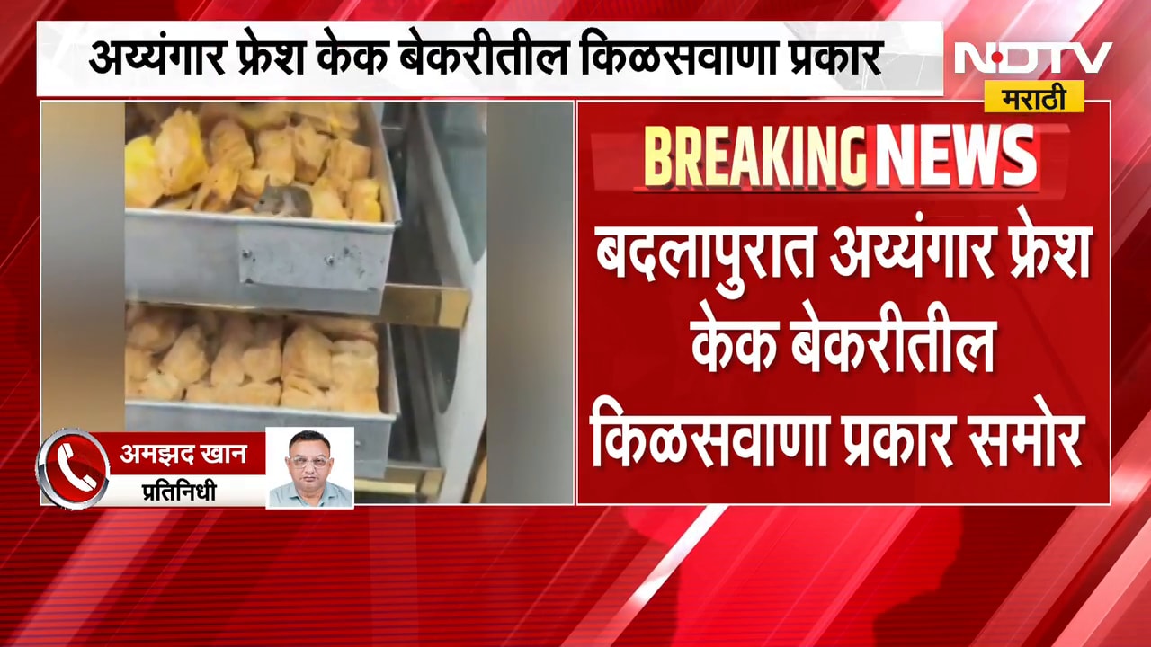 तुमच्या केकमध्ये उंदराची विष्ठा? बदलापूरमधील किसळवाणा प्रकार समोर | Badlapur Iyengar Bakery