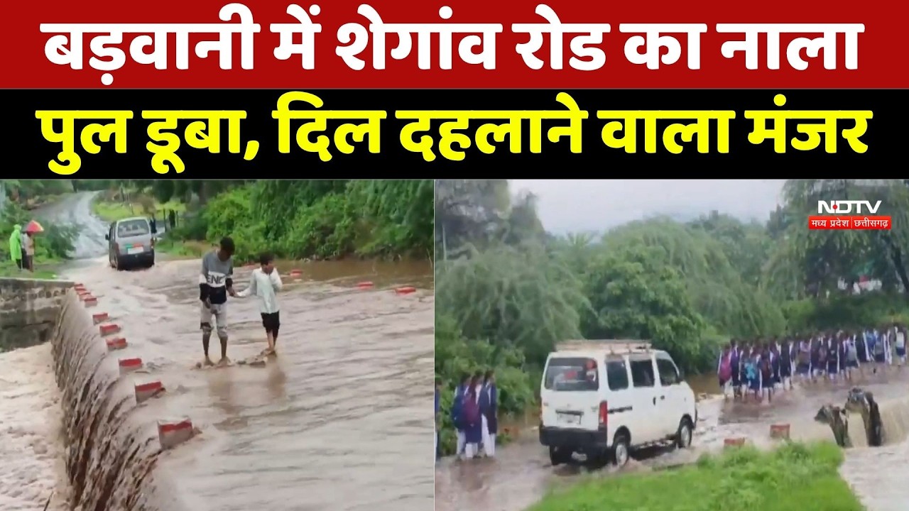 Barwani Shegaon Road Flood: बड़वानी में शेगांव रोड का नाला पुल डूबा, दिल दहलाने वाला मंजर | MP News