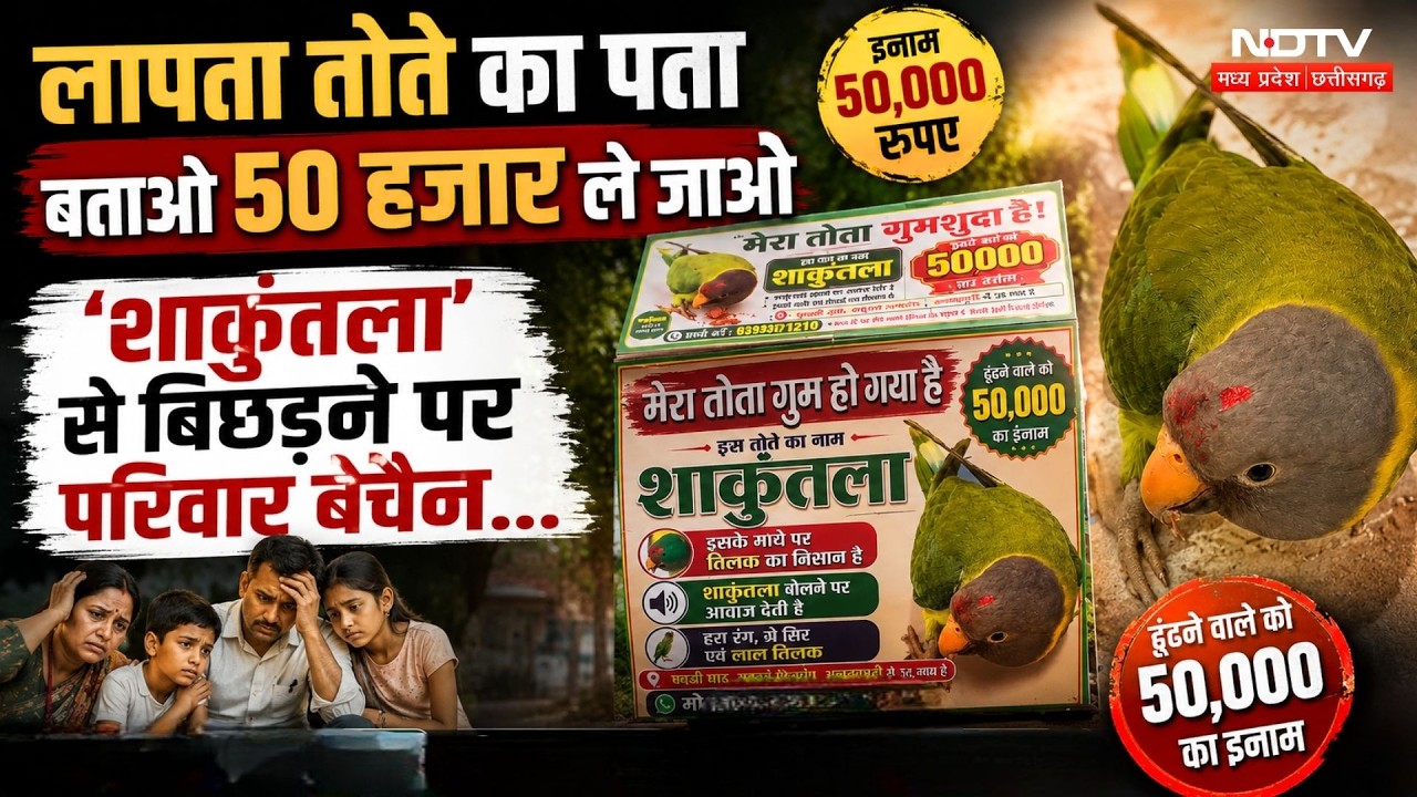 Gwalior Missing Parrot: एक तोते के लिए ₹50 हजार का इनाम, अनोखी कहानी वायरल