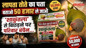 Gwalior Missing Parrot: एक तोते के लिए ₹50 हजार का इनाम, अनोखी कहानी वायरल