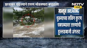 Dhule Laling Kuran Waterfall | हुल्लडबाजी करणं तरुणांना भोवलं, झाडावर चढल्याने तरुण थोडक्यात बचावला