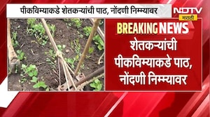 Crop Insurance Scheme | पीकविम्याकडे शेतकऱ्यांची पाठ, पीकविम्यासाठी 10 दिवसांची मुदतवाढ