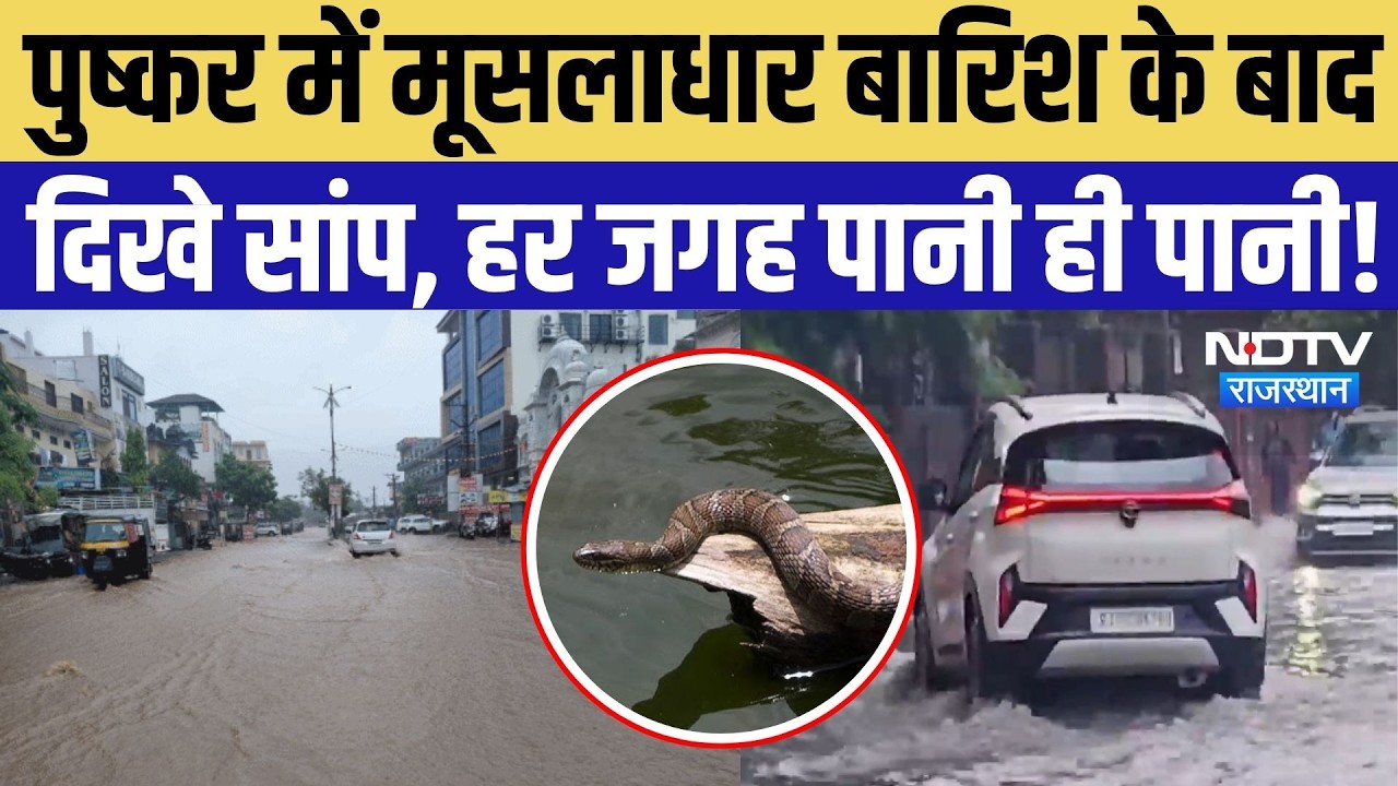 Pushkar Heavy Rain: पुष्कर में मूसलाधार बारिश के बाद दिखे सांप, हर जगह पानी ही पानी! | Monsoon |IMD