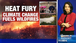 Fires, Heat, And Drought: Climate Change Fuels Wildfires In Europe