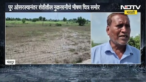 Chandrapur Rain| वर्धा, इरई आणि झरपट नदीच्या पुरामुळे शेतीचं नुकसान; नुकसानीचे भीषण चित्र समोर