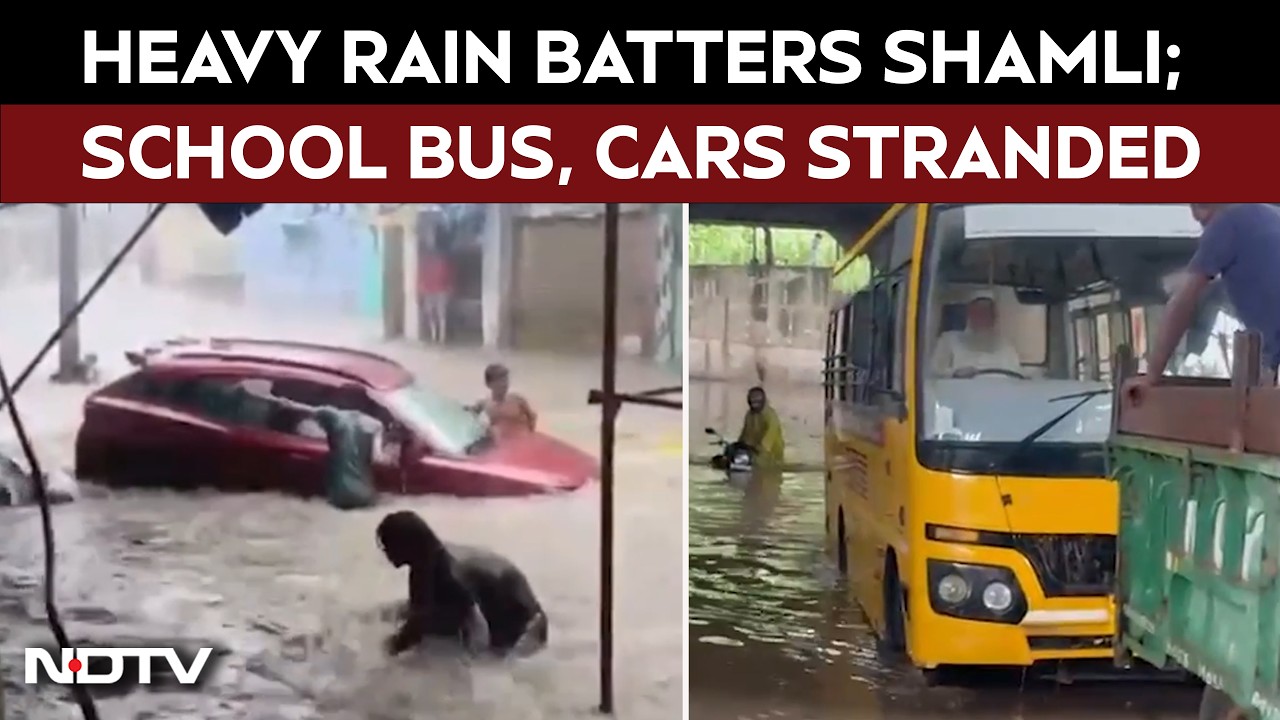 Shamli Flood Chaos: School Bus Stuck, Cars Trapped As Rain Brings City To Standstill