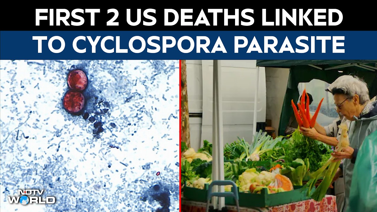 US News | First 2 US Deaths Linked To Cyclospora Parasite, CDC Investigates Foodborne Illness