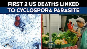 US News | First 2 US Deaths Linked To Cyclospora Parasite, CDC Investigates Foodborne Illness