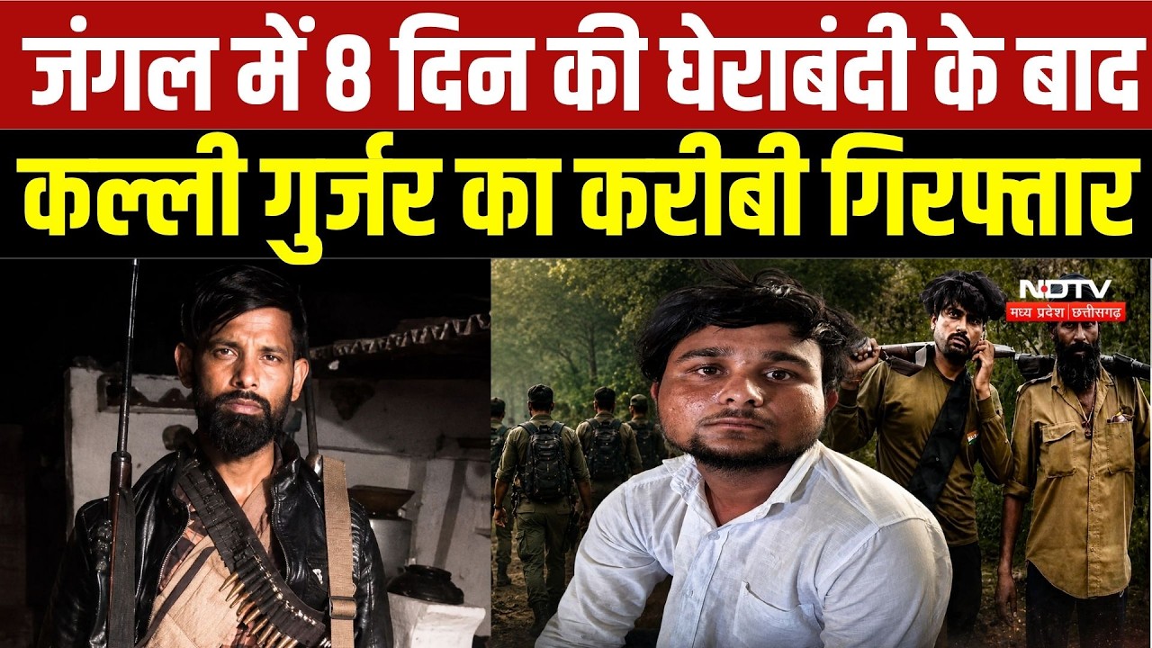 Gwalior News: जंगल में 8 दिन की घेराबंदी के बाद कल्ली गुर्जर का करीबी गिरफ्तार | Top Breaking News