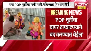 यंदा POP मूर्तीवर बंदी नाही, भविष्यात निर्बंध घालू; राज्य सरकारचं  उच्च न्यायालयात स्पष्टीकरण