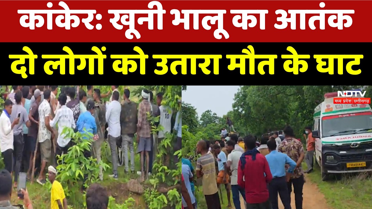 Kanker Bear Attack: खूनी भालू का आतंकदो लोगों को उतारा मौत के घाट | Top News