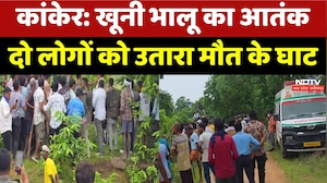 Kanker Bear Attack: खूनी भालू का आतंकदो लोगों को उतारा मौत के घाट | Top News