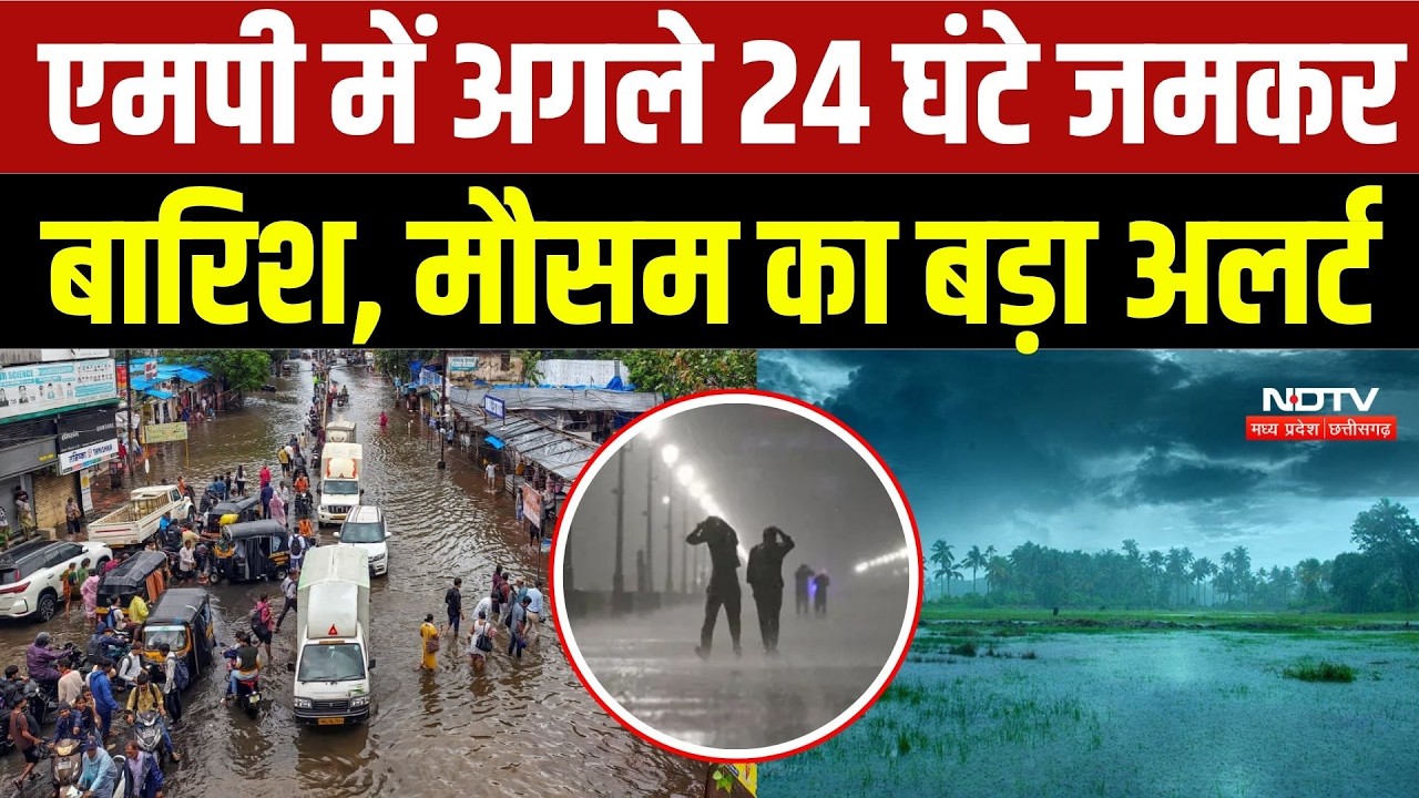 MP Weather Update: 24 घंटे भारी बारिश की चेतावनी, कई जिलों में अलर्ट | Top Breaking News | IMD Alert