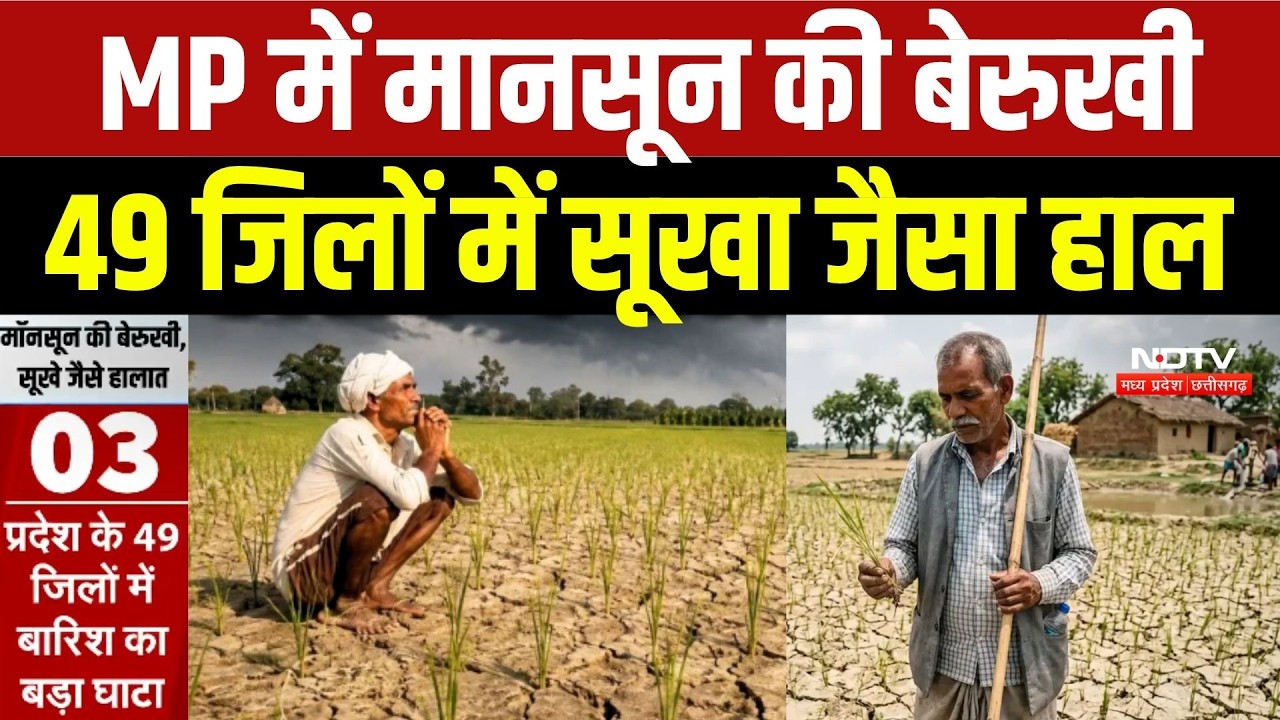 MP Weather Update: MP में मानसून की बेरुखी, 49 जिलों में सूखा जैसा हाल
