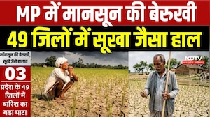 MP Weather Update: MP में मानसून की बेरुखी, 49 जिलों में सूखा जैसा हाल