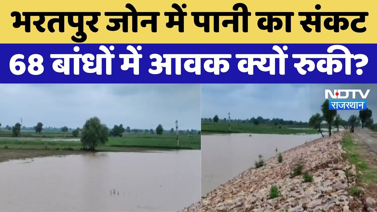 Bharatpur Water Crisis: भरतपुर जोन में पानी का संकट, 68 बांधों में पानी की आवक नहीं | Rajasthan News