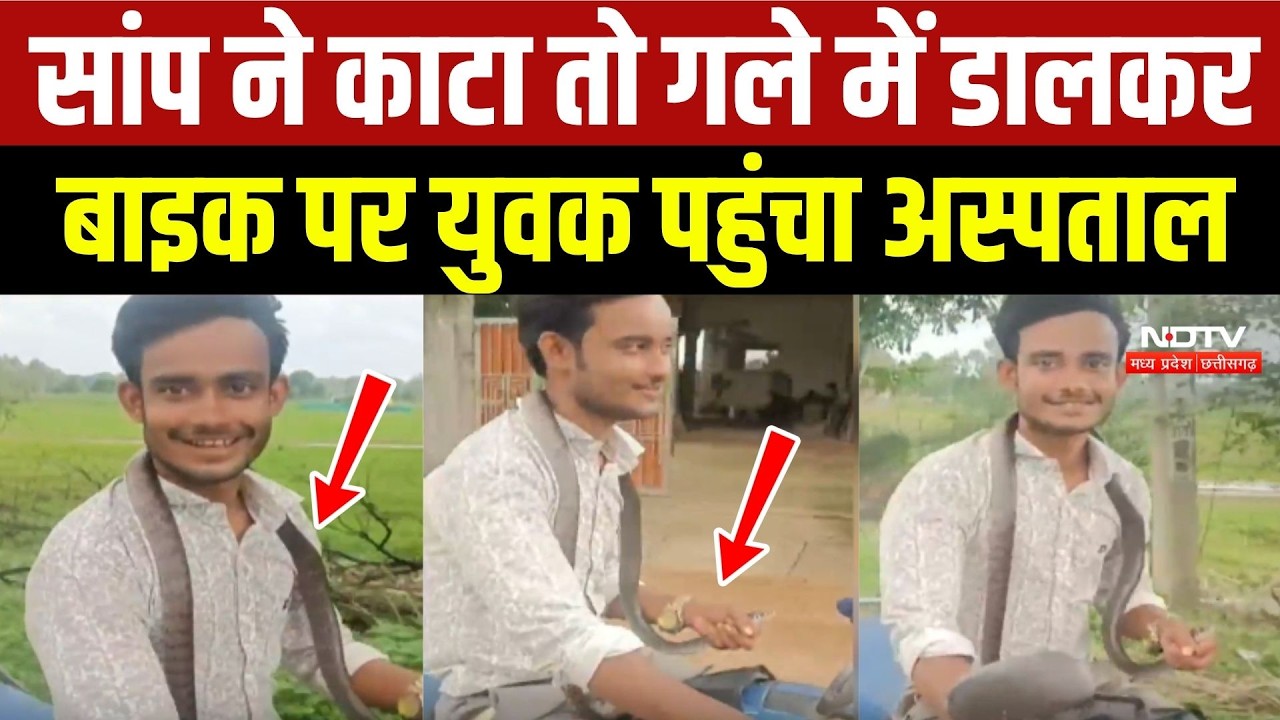 Kanker News: सांप ने काटा तो गले में डालकर Bike से अस्पताल पहुंचा युवक!