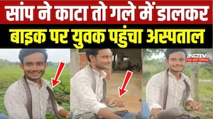 Kanker News: सांप ने काटा तो गले में डालकर Bike से अस्पताल पहुंचा युवक!