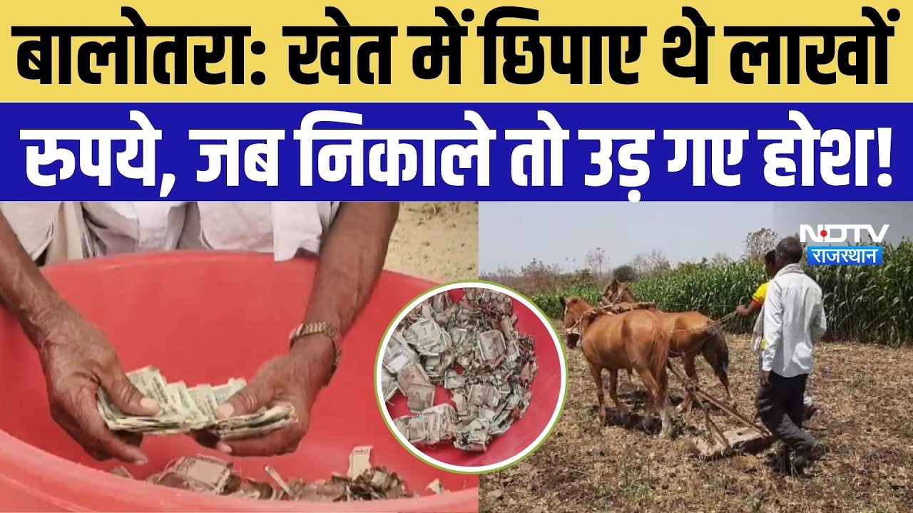 Balotra News: चोरी से बचाने के लिए खेत में गाड़े लाखों रुपये, दीमक ने कर दिए कागज के ढेर! Breaking