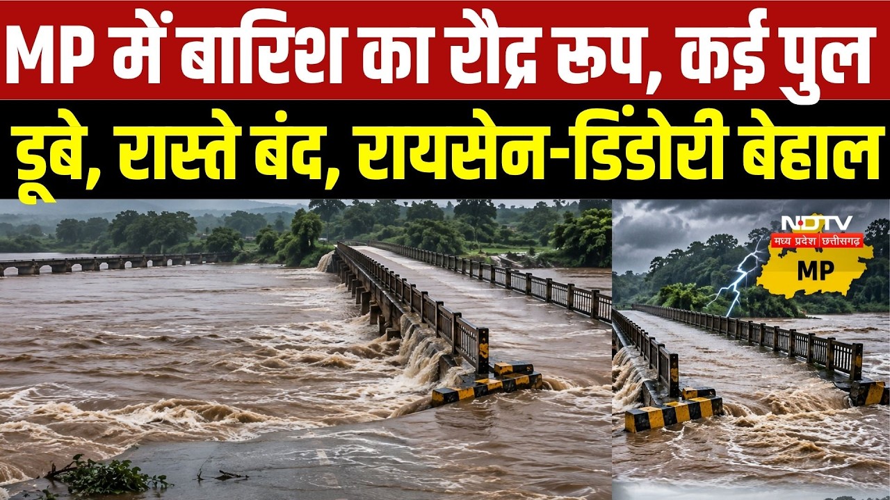 MP Heavy Rain:MP में बारिश का रौद्र रूप, कई पुल डूबे, रास्ते बंद, रायसेन-डिंडोरी बेहाल |Top Breaking