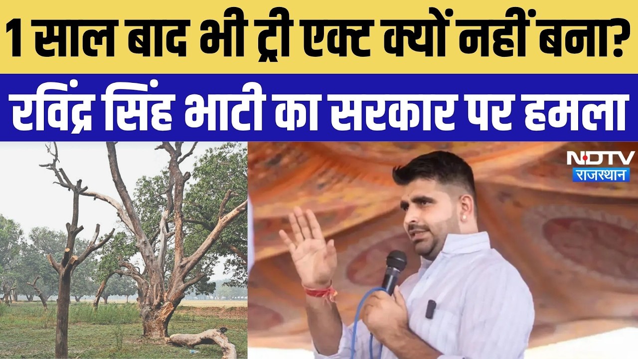 "एक साल बाद भी Tree Protection Act क्यों नहीं बना?", Ravindra Singh Bhati का सरकार पर बड़ा हमला