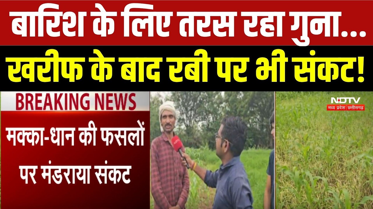 Guna Weather: बारिश के लिए तरस रहा गुना...Kharif के बाद Rabi पर भी संकट!