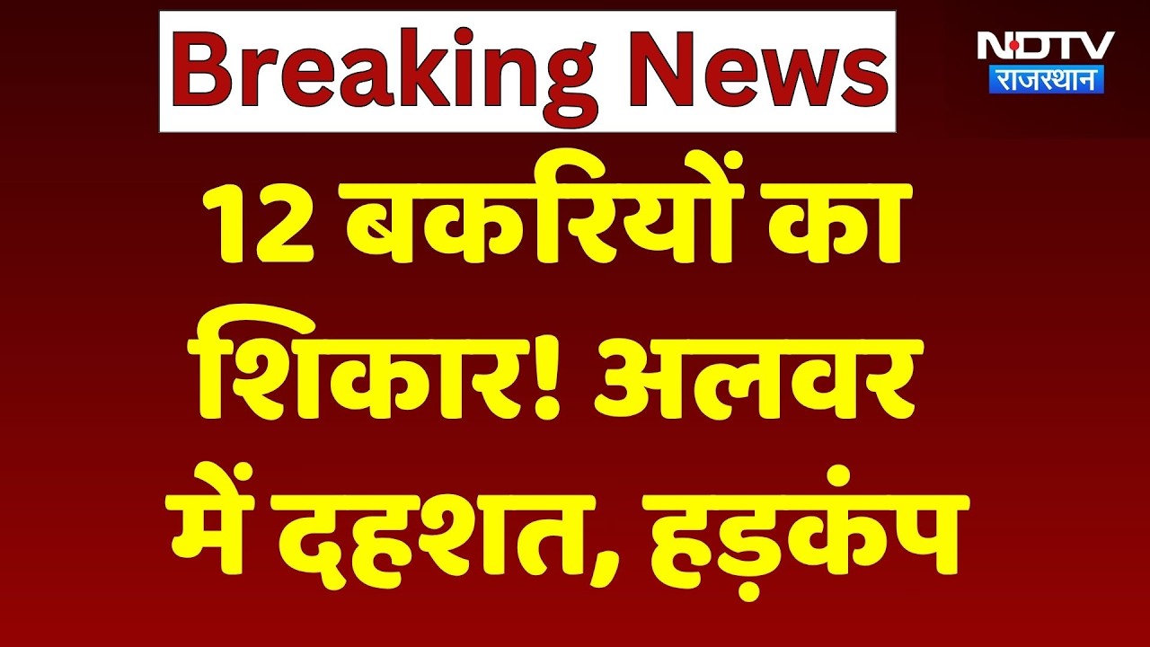 Alwar Wild Animal Attack: अलवर में जंगली जानवर ने 12 बकरियों का किया शिकार, हड़कंप | Rajasthan