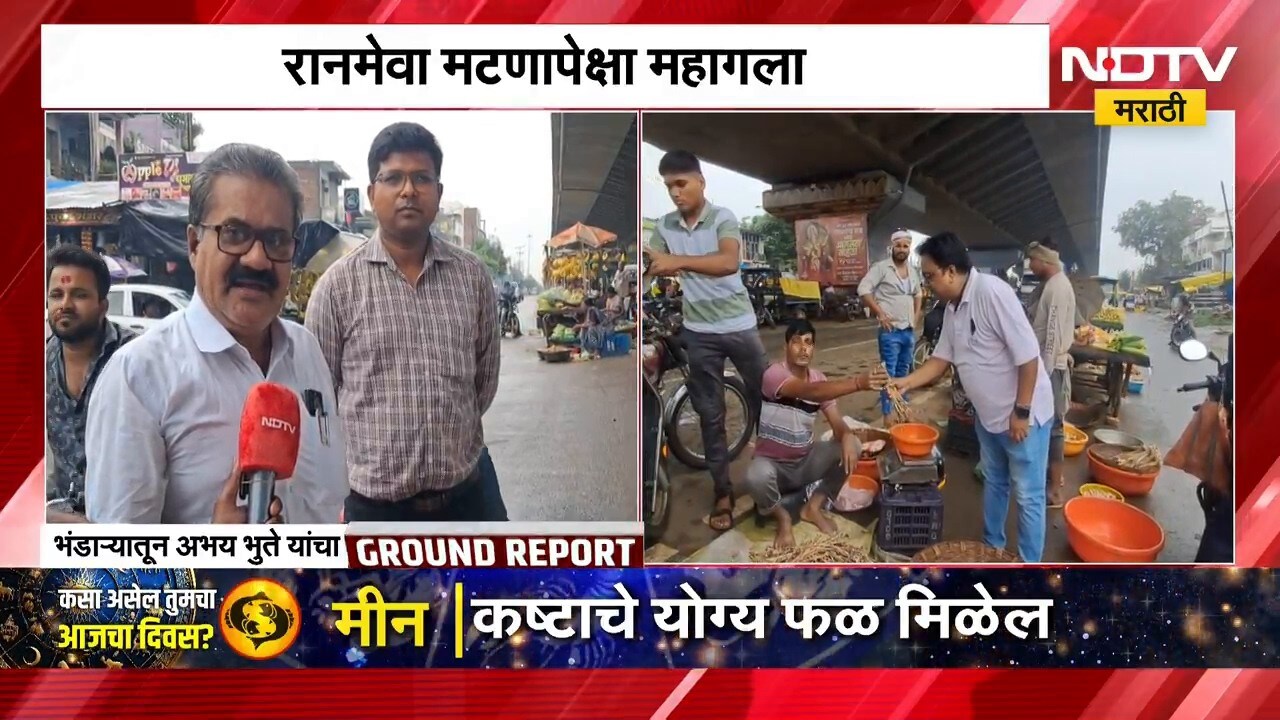 Bhandara | रानमेवा मटणापेक्षा महाग,भंडाऱ्यात मशरूमच्या बाजारपेठेत गर्दी, NDTV मराठीचा Ground Report