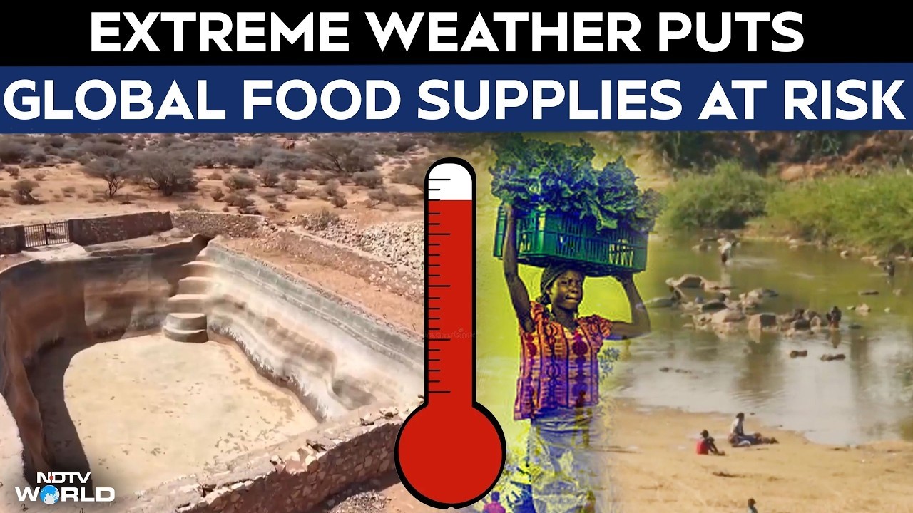 Extreme Heat And Erratic Weather Put Global Harvests And Food Security At Risk