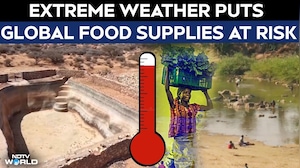 Extreme Heat And Erratic Weather Put Global Harvests And Food Security At Risk