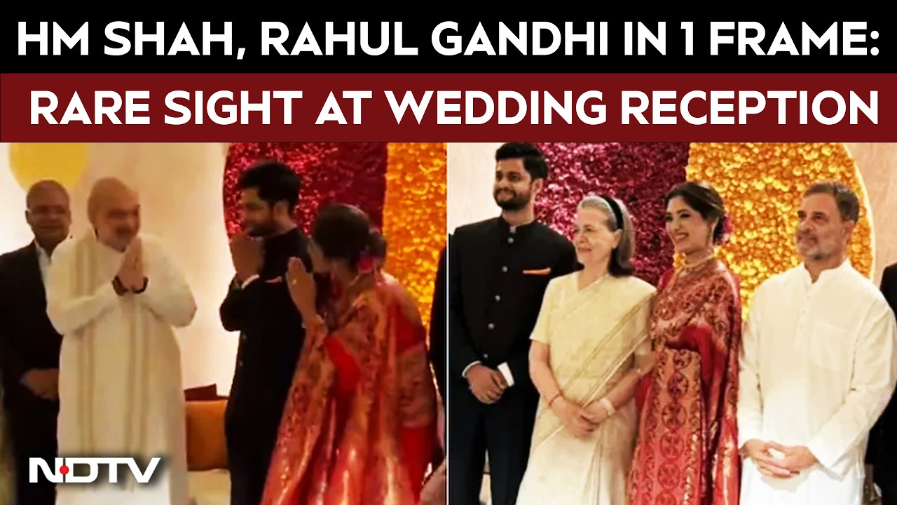 Amit Shah, Rahul Gandhi In One Frame: Rare Political Sight At Wedding Reception