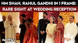 Amit Shah, Rahul Gandhi In One Frame: Rare Political Sight At Wedding Reception
