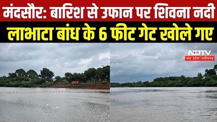 Mandsaur Rain News: बारिश से उफान पर शिवना नदी, लाभाटा बांध के 6 फीट गेट खोले गए | Heavy Rain
