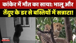 Kanker में Bear और Leopards के डर से बस्तियों में सन्नाटा! | Top News | Latest | Wild Animal Attack