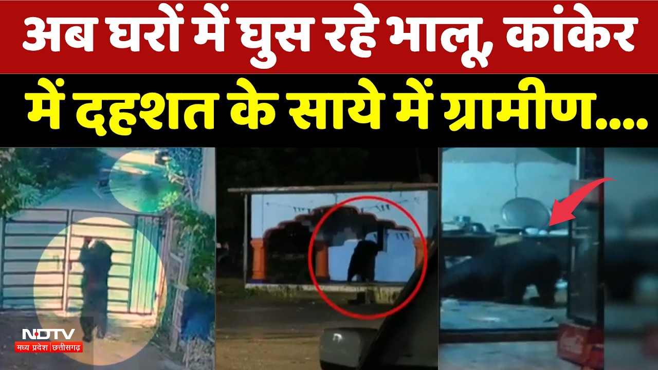 Kanker Bear Attack: अब घरों में घुस रहे भालू, दहशत के साये में ग्रामीण | Viral Video