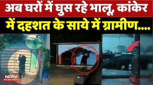 Kanker Bear Attack: अब घरों में घुस रहे भालू, दहशत के साये में ग्रामीण | Viral Video