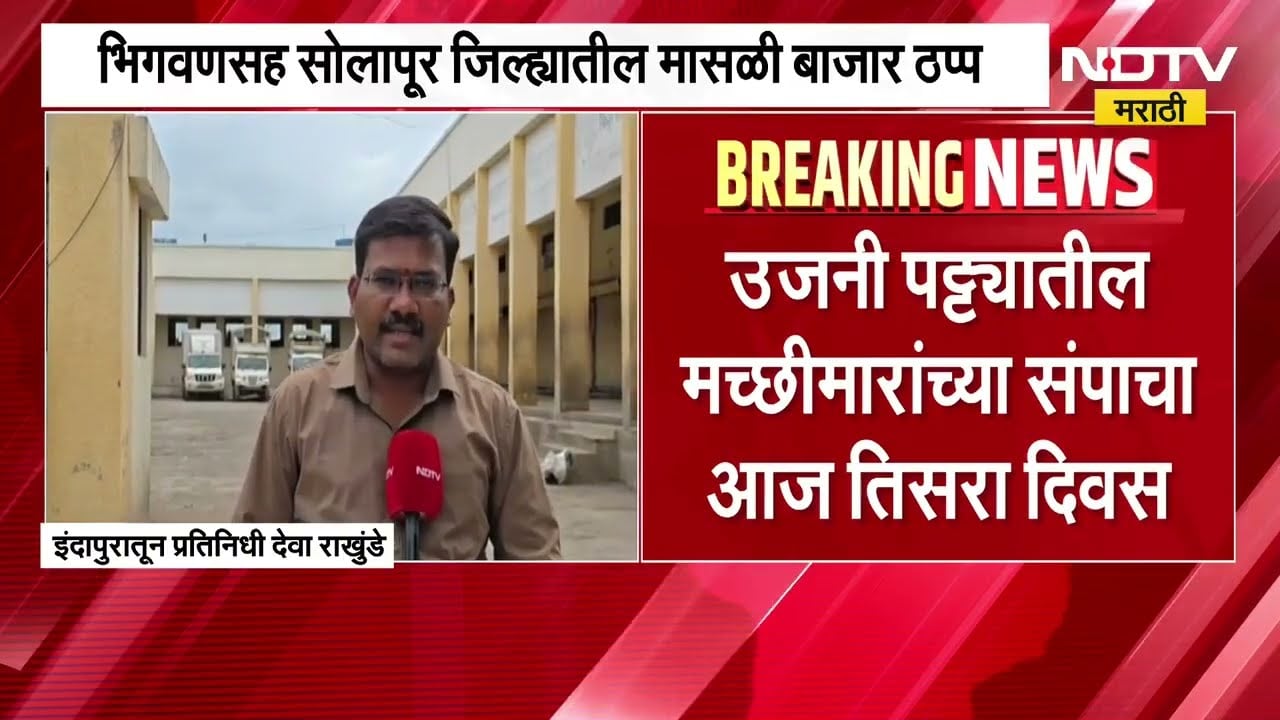 Indaur|उजनी पट्ट्यातील मच्छीमारांच्या संपाचा तिसरा दिवस; भिगवणसह सोलापूरातील मासळी बाजार ठप्प