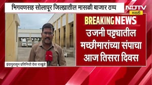 Indaur|उजनी पट्ट्यातील मच्छीमारांच्या संपाचा तिसरा दिवस; भिगवणसह सोलापूरातील मासळी बाजार ठप्प