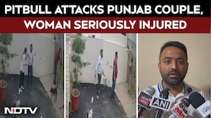 On Camera Pitbull Attack In Punjab Leaves Woman Seriously Injured