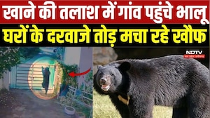 Kanker News: आधी रात घरों के दरवाजे तोड़ रहे भालू, दहशत में रात गुजार रहे ग्रामीण | CG | Bear Terror